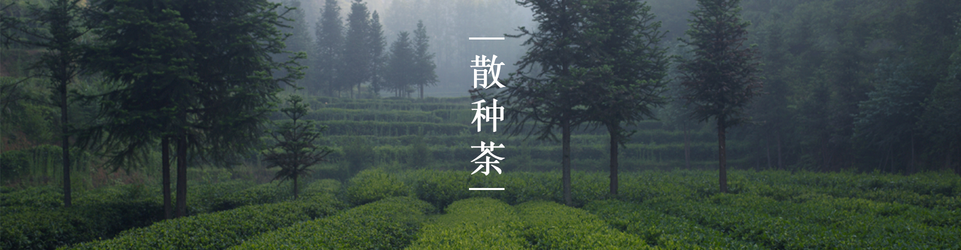 江南app「中国」官方网站